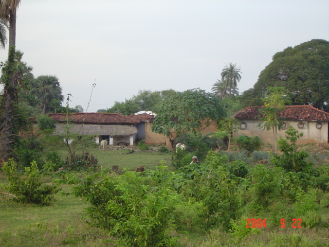 Nature